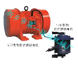 特殊振動(dòng)電機(jī)