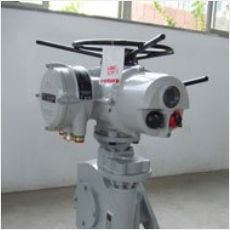 羅托克ROTORK電動執(zhí)行器