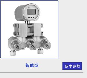 德國菲索AFRISO壓力變送器