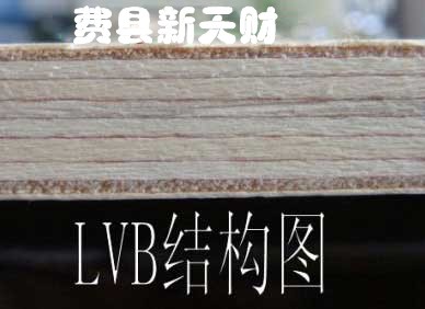 12厘全楊木LVB 膠合板