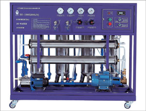 鞍山兩級(jí)反滲透純水機(jī)