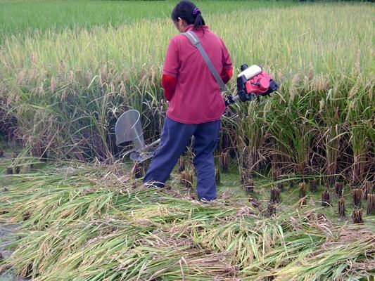 河南水稻收割機(jī) z耐用的小型收稻機(jī)