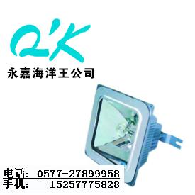 海洋王NFC9100_海洋王NFC9100_海洋王投光燈