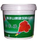 獅子山牌S501環(huán)保型外墻高級乳膠漆