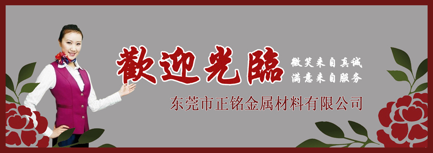 東莞市正銘金屬材料有限公司