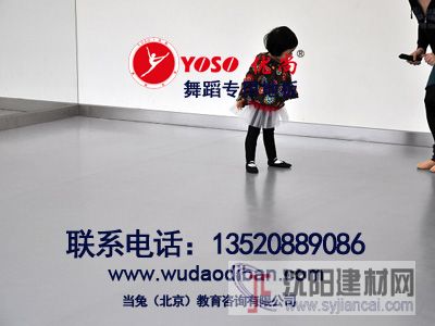 供應(yīng)防滑，耐磨舞蹈地膠