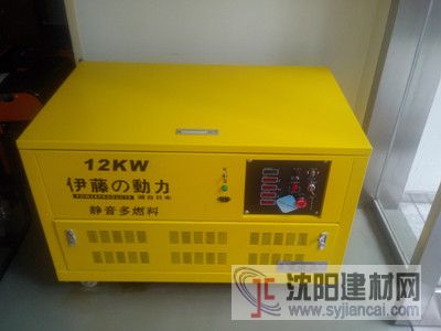 12KW多燃料發(fā)電機(jī)-伊藤YT12RGF