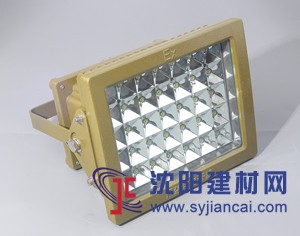 液化氣站led防爆燈100W,加油站專(zhuān)用頂