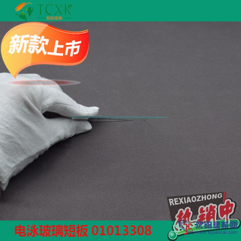 美國(guó)伯樂(lè)Bio-Rad電泳玻璃板短玻板